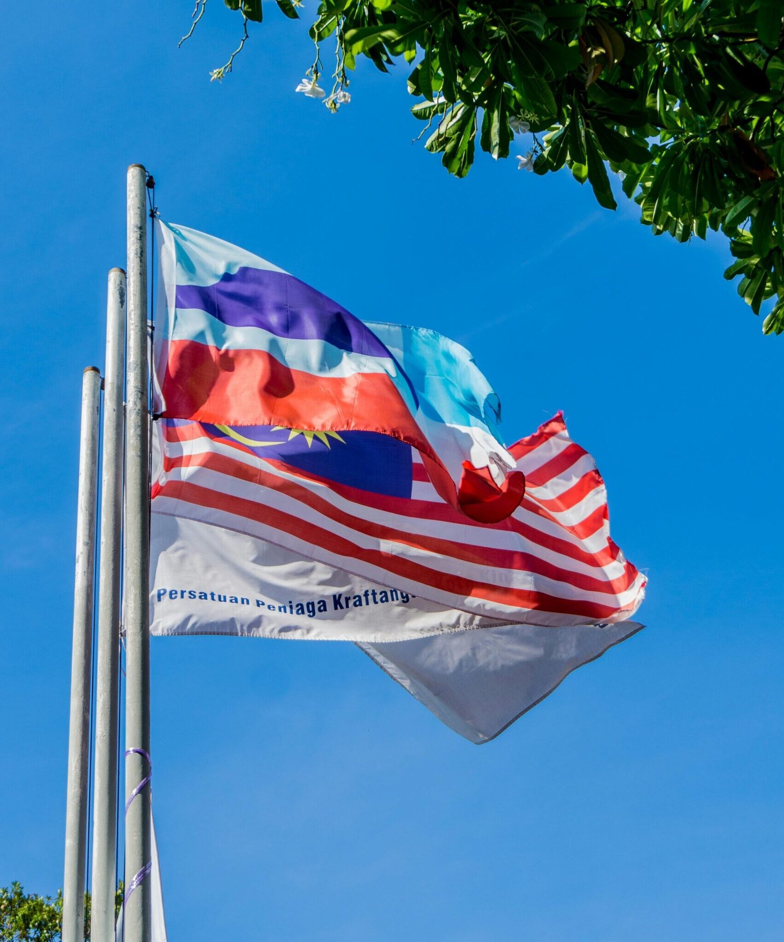 Three flags waving on poles under a clear blue sky with green foliage in view.